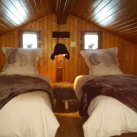Chalet De Tronchine *
